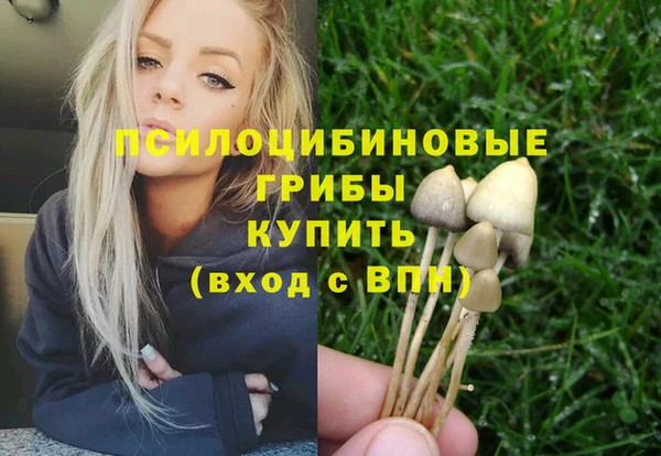 герыч Осинники