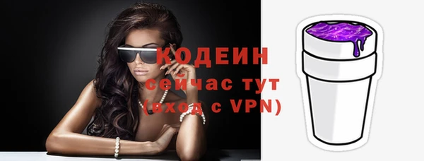 соль ск Пересвет
