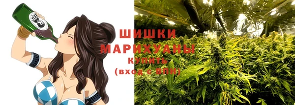 apvp Осташков