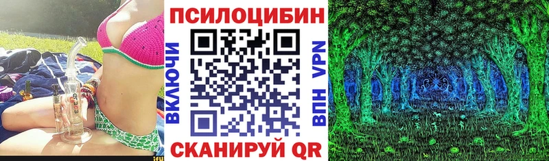закладка  Отрадное  Галлюциногенные грибы GOLDEN TEACHER 