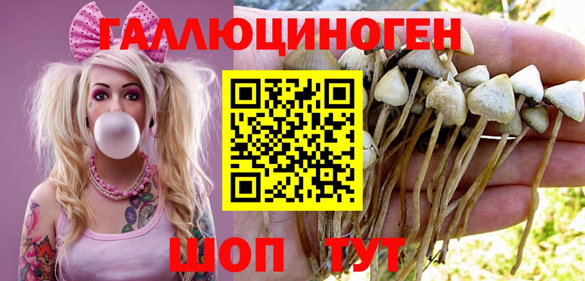 Отрадное  сколько стоит  Вход с VPN  Псилоцибиновые грибы Cubensis  Псилоцибиновые грибы мицелий 