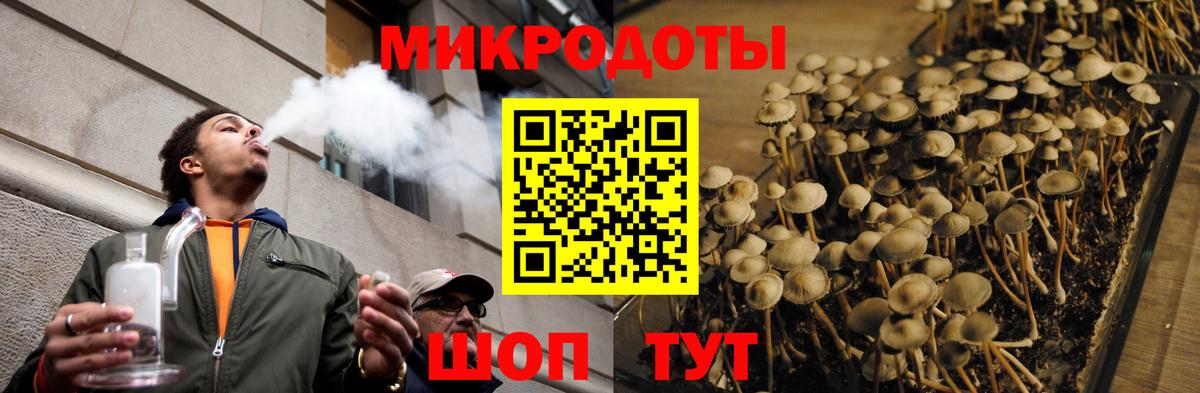 Галлюциногенные грибы GOLDEN TEACHER Отрадное